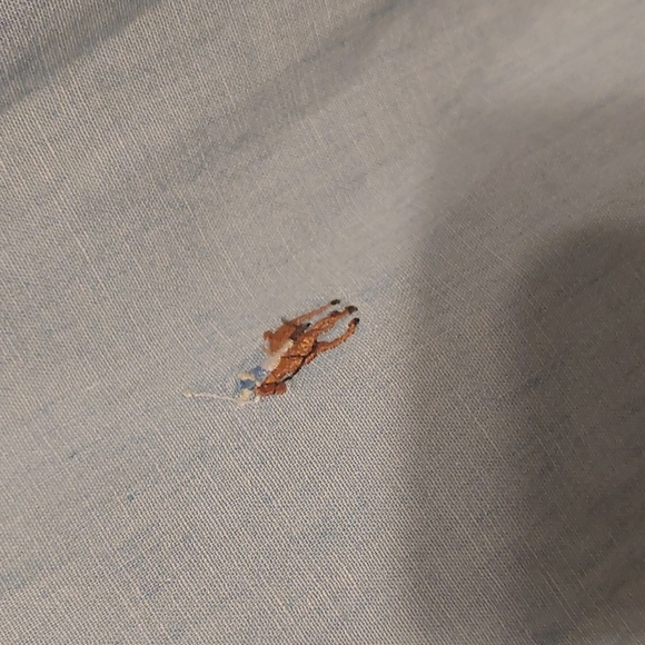 Ralph Lauren Light Blue Button Up 16 1/2-34 - Picture 3 of 3